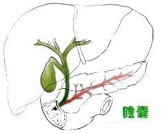 琉璃工坊雙面刺繡藝術屏風，網格繡，蘇繡隔斷，雙面繡隔斷